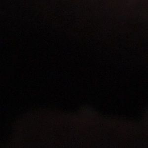 Meet your Posher, Kalie